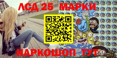шишки Тара