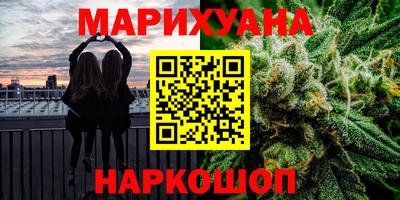 шишки Тара